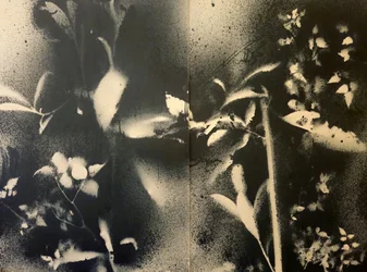 Etherische botanische vormen