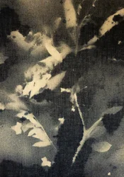 Etherische botanische silhouetten