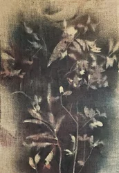Vervaagde botanische vormen