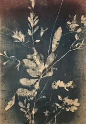 Vintage blauwe botanica