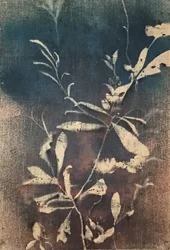 Vintage blauwe botanische motieven