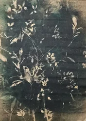 Vintage botanische silhouetten