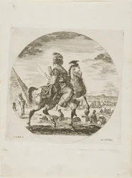 Zwarte ruiter