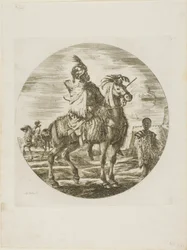 Zwarte ruiter