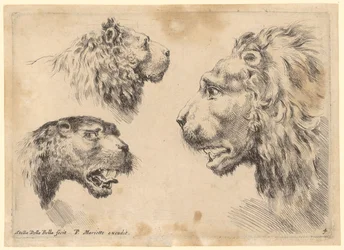 Drie leeuwenkoppen