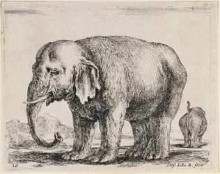 Olifant