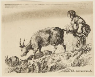 Geiten (Diverse dieren, 14)
