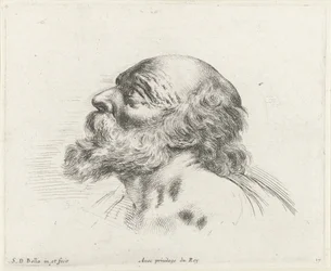 Hoofd van een kale oude man met baard, in profiel naar links (mogelijk H. Petrus)