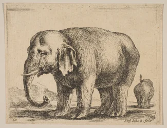 Blad 10: olifant, uit Diverse dieren Diversi animali, ca. 1641