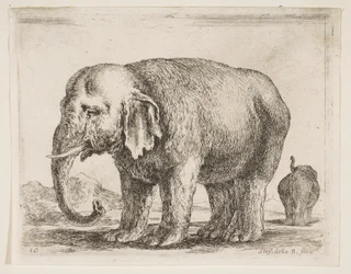 Plaat 10: olifant, uit Diverse dieren Diversi animali, ca. 1641