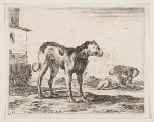 Plaat 11: honden, uit Diverse dieren, ca. 1641