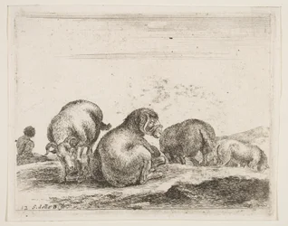 Plaat 12: schapen en ram in een weiland, uit Diverse dieren Diversi animali, ca. 1641