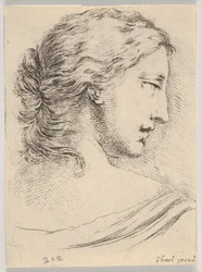 Plaat 5: hoofd van een vrouw, in profiel naar rechts gedraaid, uit Diverse hoofden en figuren..., 1650