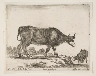 Plaat 7: os, uit Diverse dieren Diversi animali, ca. 1641