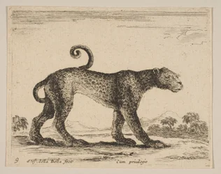 Blad 9: luipaard, uit Diverse dieren Diversi animali, ca. 1641