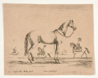 Ruiterloos paard, met ruiters die dressuur doen op de achtergrond