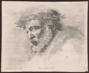 Studie van het hoofd van een bebaarde oude man met een lauwerkrans, in profiel, naar links gewend, uit de reeks Principii del disegno
