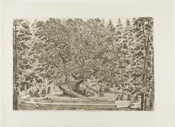 De Fontein van de Eik