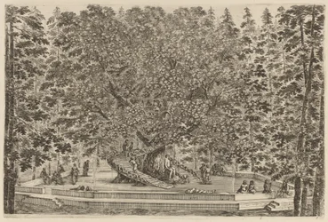 De bewoonde boom, waarschijnlijk 1653