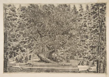 Het boomhuis in Pratolino