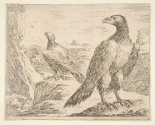 Twee adelaars, uit Adelaars Les aigles, ca. 1651