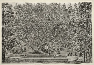 Gezichten van de Villa van Pratolino: De Bewoonde Boom