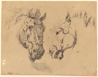 Twee paardenkoppen