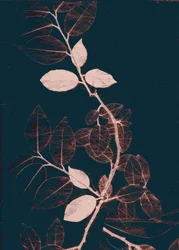 Freyr VII Donker Koper, 2018 (digitaal)