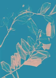 Freyr VI Dageraad, 2018 (digitaal)