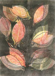 Midnight Garden V, 2015 (monoprint op papier)