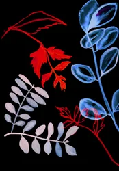 Nacht Flora IV, 2018 (digitaal)