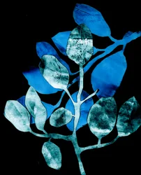 Nachtelijke tuin, 2017 (digitaal, van een collagraph)