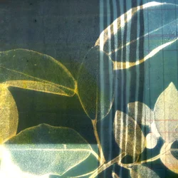 Seizoen I, 2018 (digitaal)