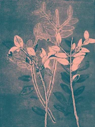 Seizoen VI, 2018 (digitaal)