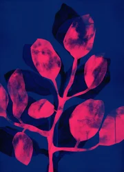 Summer Garden III pink, 2018 (digital)