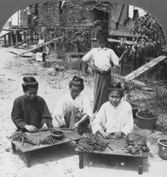 Het maken van de grote sigaren gerookt door vrouwen, Birma, 1908