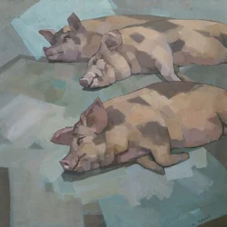 Drie slapende biggetjes