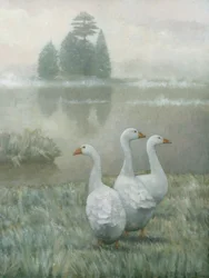 Witte ganzen in de ochtendmist