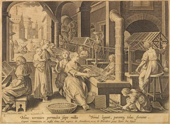 Zijde-extractie Vermis sericus, na 1640