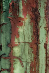 Roestgroene textuur