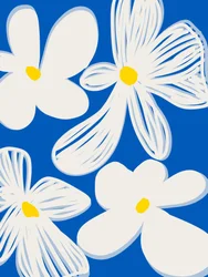 Vrolijke witte bloemen