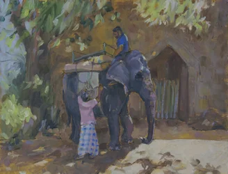 Olifant, Sri Lanka, 2015