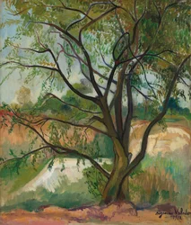 De Boom