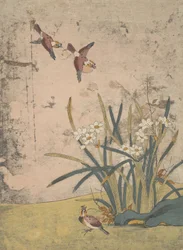 Vogels en narcissen