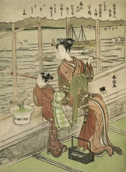 Dubbelbloemige kers: Motoura van de Minami Yamasakiya
