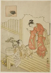 Ono no Komachi wast het boek