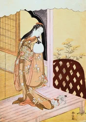De prinses Nyosan, 1765