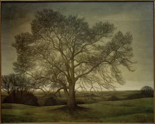 Landschap 1901