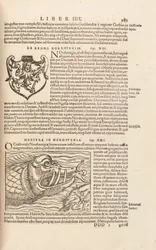 Pagina 983 uit Cosmographiae Universalis door Sebastian Muenster, Basel, 1572