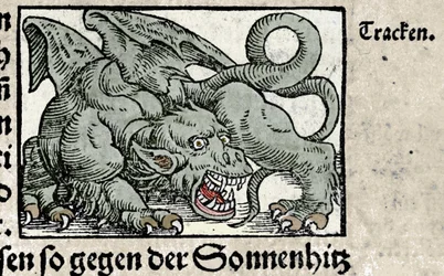 Voorstelling van een draak: gravure uit Johann Stumpff